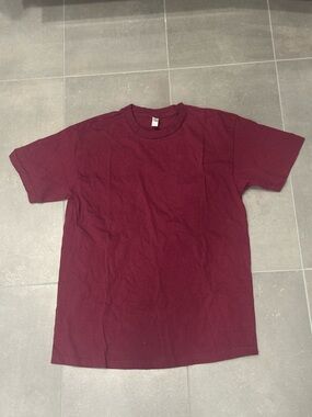 American Apparel Men's Crew Neck Tee in Maroon